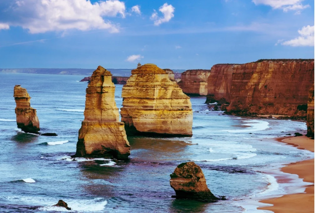 great ocean family trip great ocean family trip