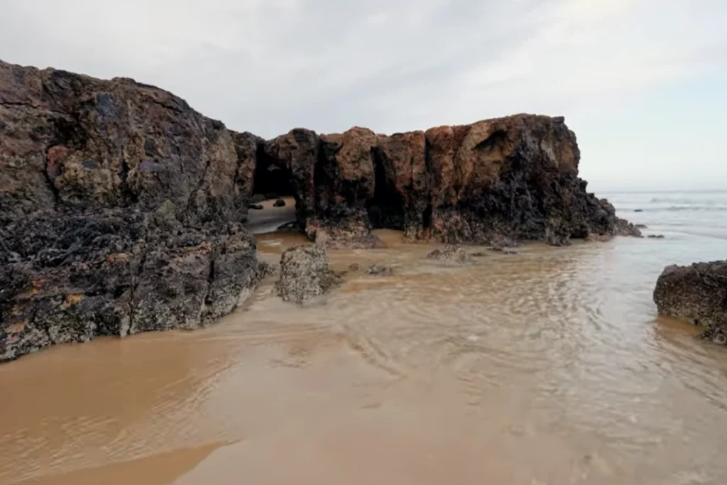 phillip island phillip island