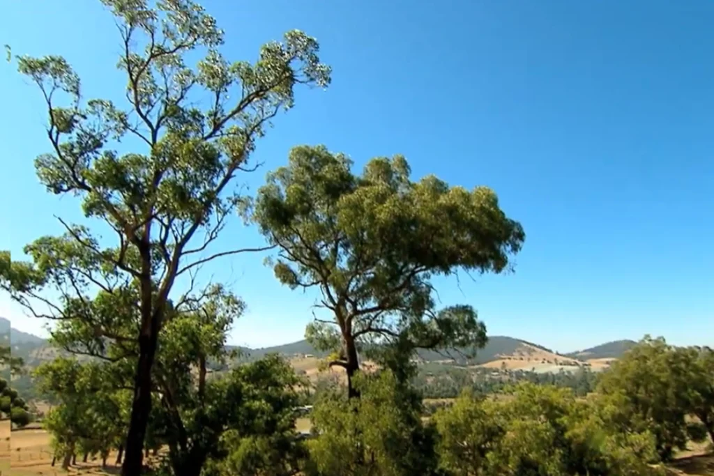 yarra valley retreats yarra valley retreats